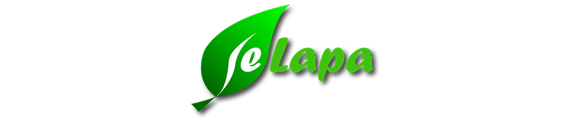 eLapa palīdzības sistēma